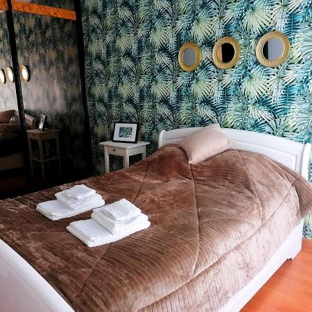 Cocoon Guest House ベンダシュ・ノバシュ エクステリア 写真