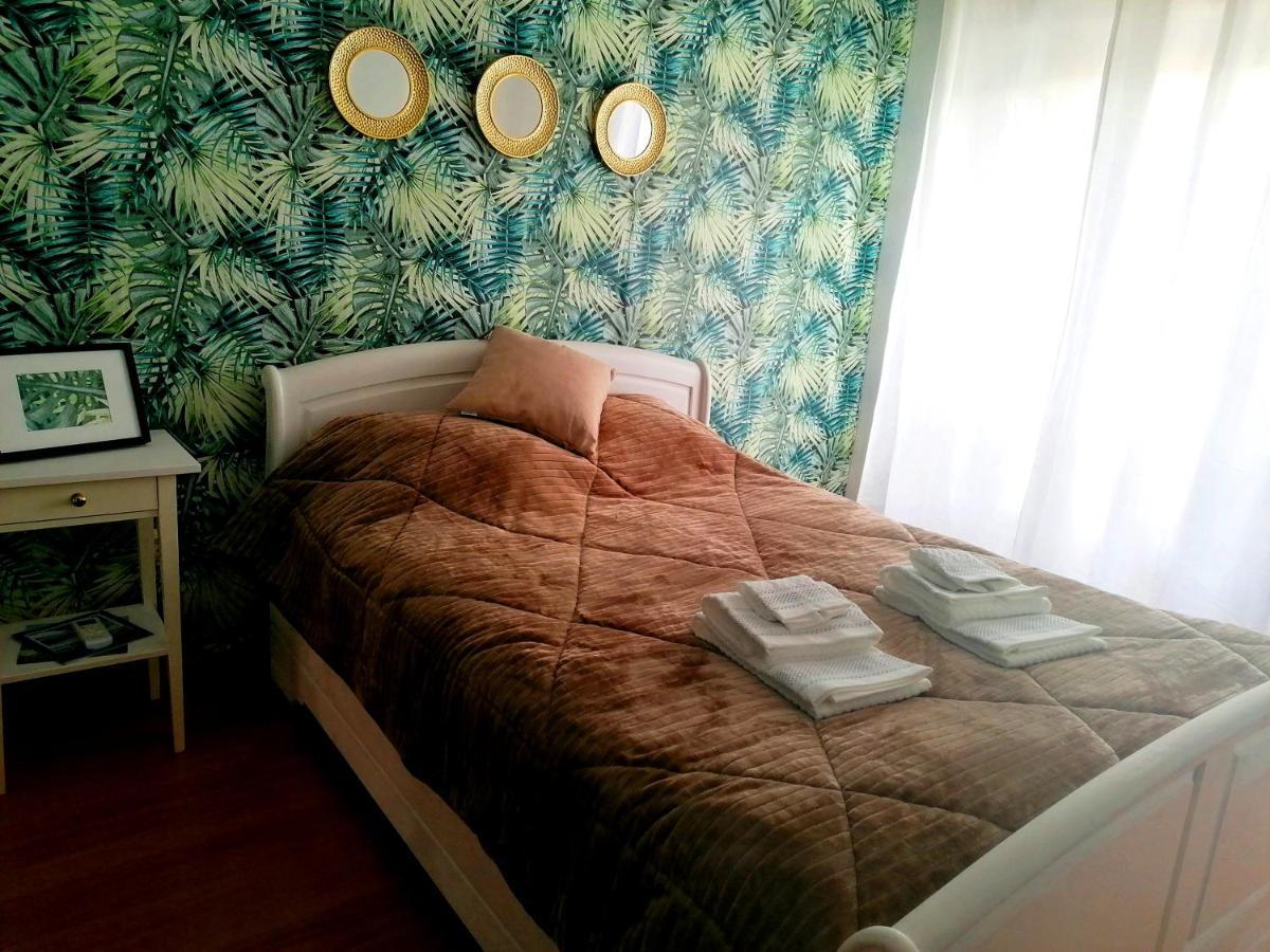Cocoon Guest House ベンダシュ・ノバシュ エクステリア 写真
