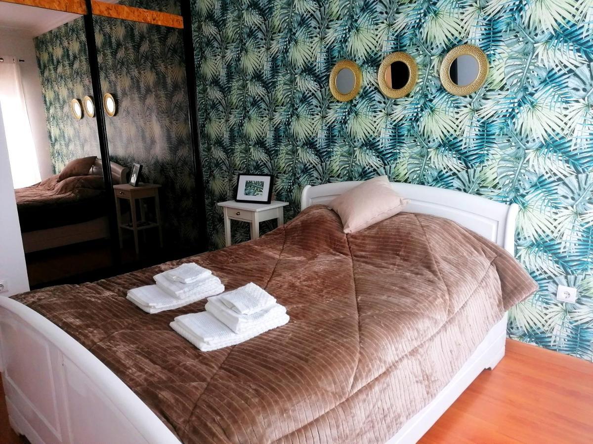 Cocoon Guest House ベンダシュ・ノバシュ エクステリア 写真