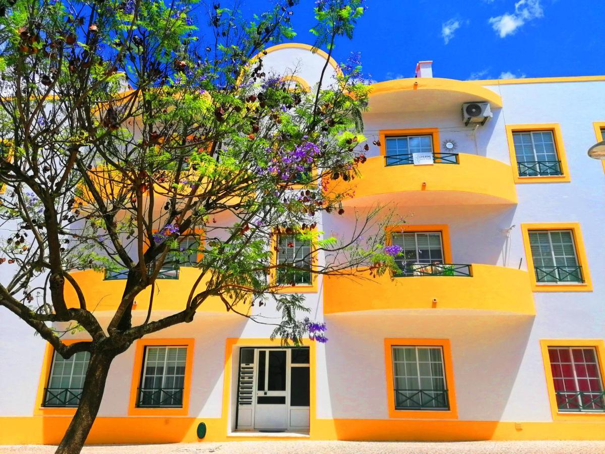 Cocoon Guest House ベンダシュ・ノバシュ エクステリア 写真